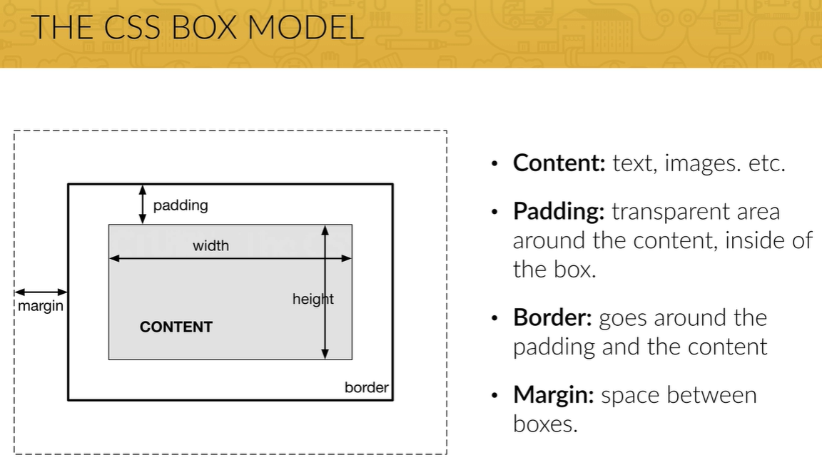 CSS Box Model